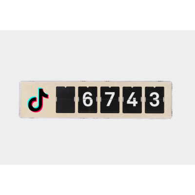 TikTok Counter kaufen – Echtzeit-Follower-Anzeige | Ihre Kunden staunen!