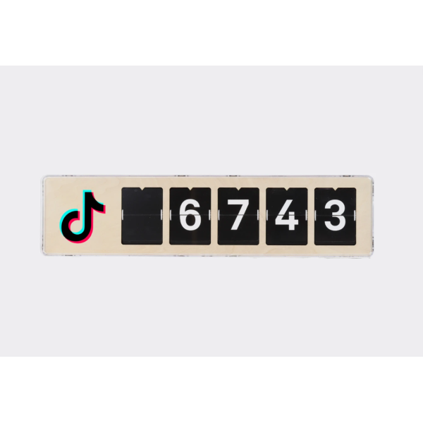 TikTok Real Time Counter, 5 Ziffern, SMIIRL